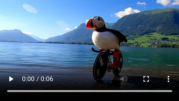 Puffin ironman on a bike