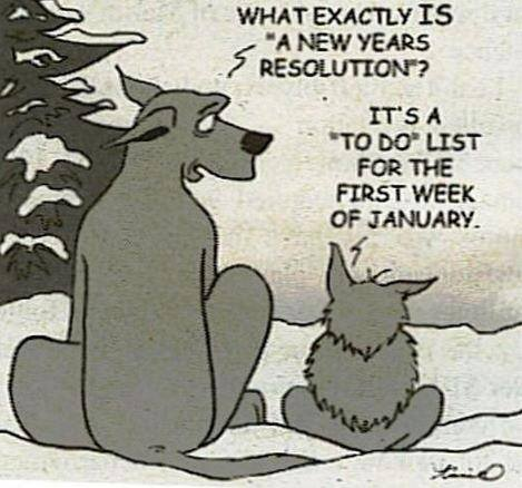 Daniela: what is New YEar resolution